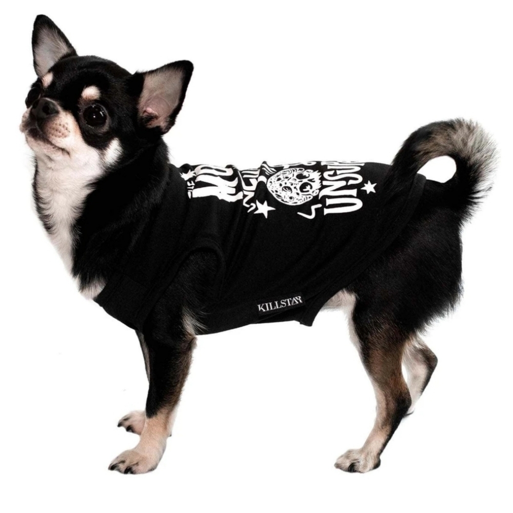 Killstar ✦ Full Moon Pet Vest Hoodie ✦ Black Jersey Graphic Pullover XL NWT - Picture 2 of 10
